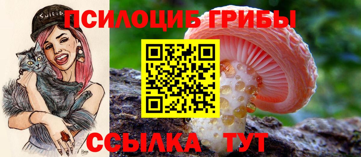 Галлюциногенные грибы Magic Shrooms Крымск