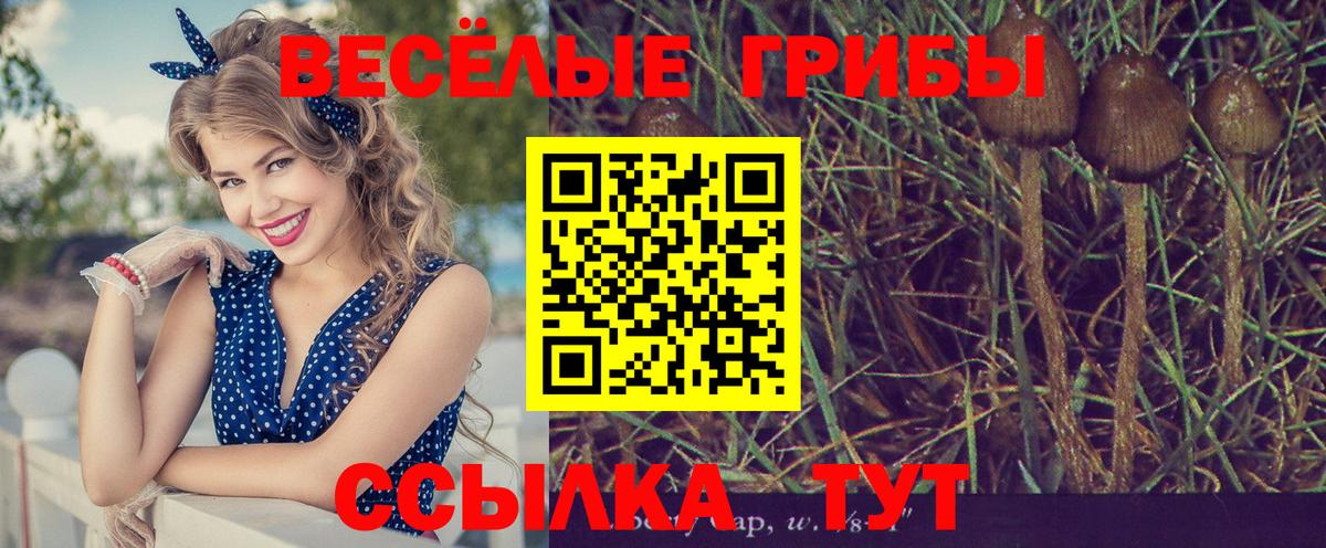 Галлюциногенные грибы мицелий  наркота  Крымск  Вход с VPN 